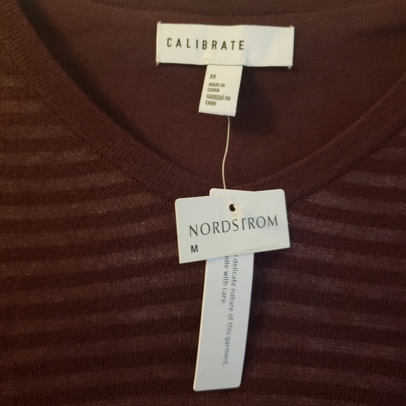 Calibrate Nordstrom Burgundy Oversized Striped Sweater - Picture 3 of 11